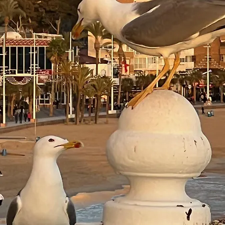 Benilove, Soleil A A Pied Apartamento Benidorm