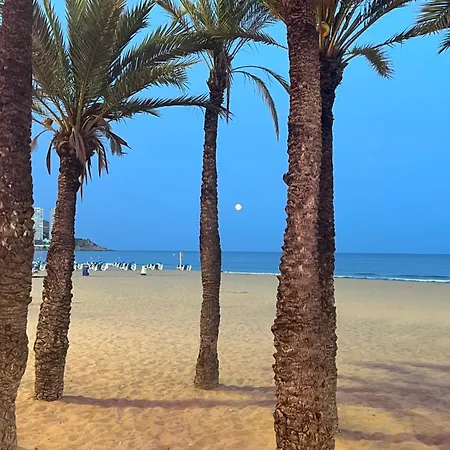 Benilove, Soleil A A Pied