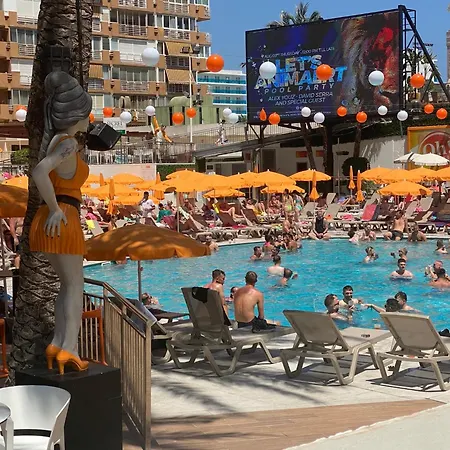Benilove En Playa Vue Panoramique Benidorm